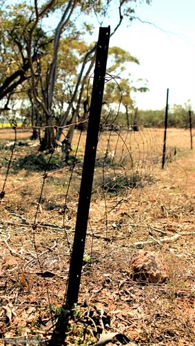 Farm Fence, WA. 